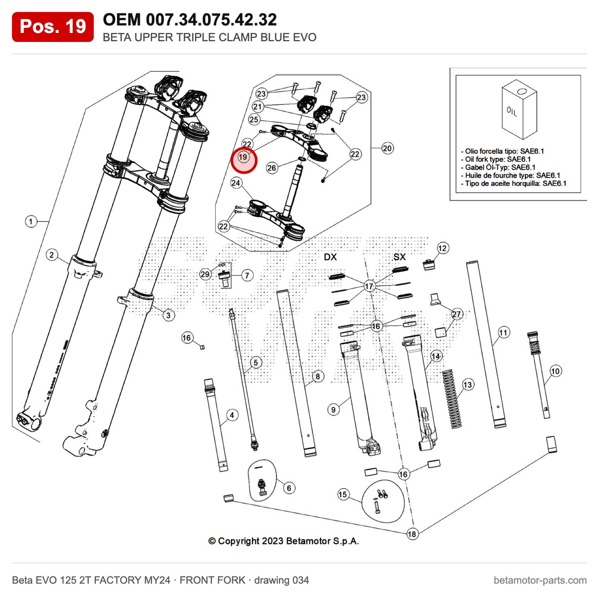 BETA UPPER TRIPLE CLAMP BLUE EVO – OEM 007.34.075.42.32, position 19 on the Beta EVO 125 2T FACTORY MY24 front fork drawing