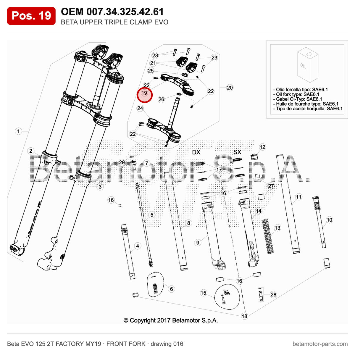 BETA UPPER TRIPLE CLAMP EVO – OEM 007.34.325.42.61, position 19 on the Beta EVO 125 2T FACTORY MY19 front fork drawing