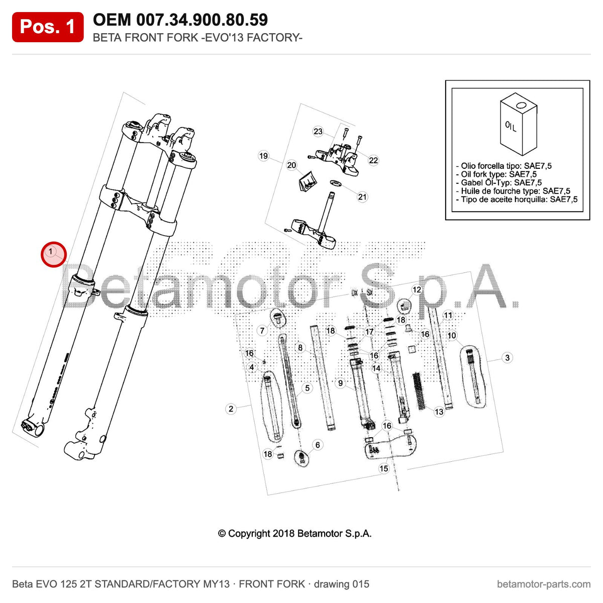 BETA FRONT FORK -EVO'13 FACTORY- – OEM 007.34.900.80.59, position 1 on the Beta EVO 125 2T STANDARD/FACTORY MY13 front fork drawing