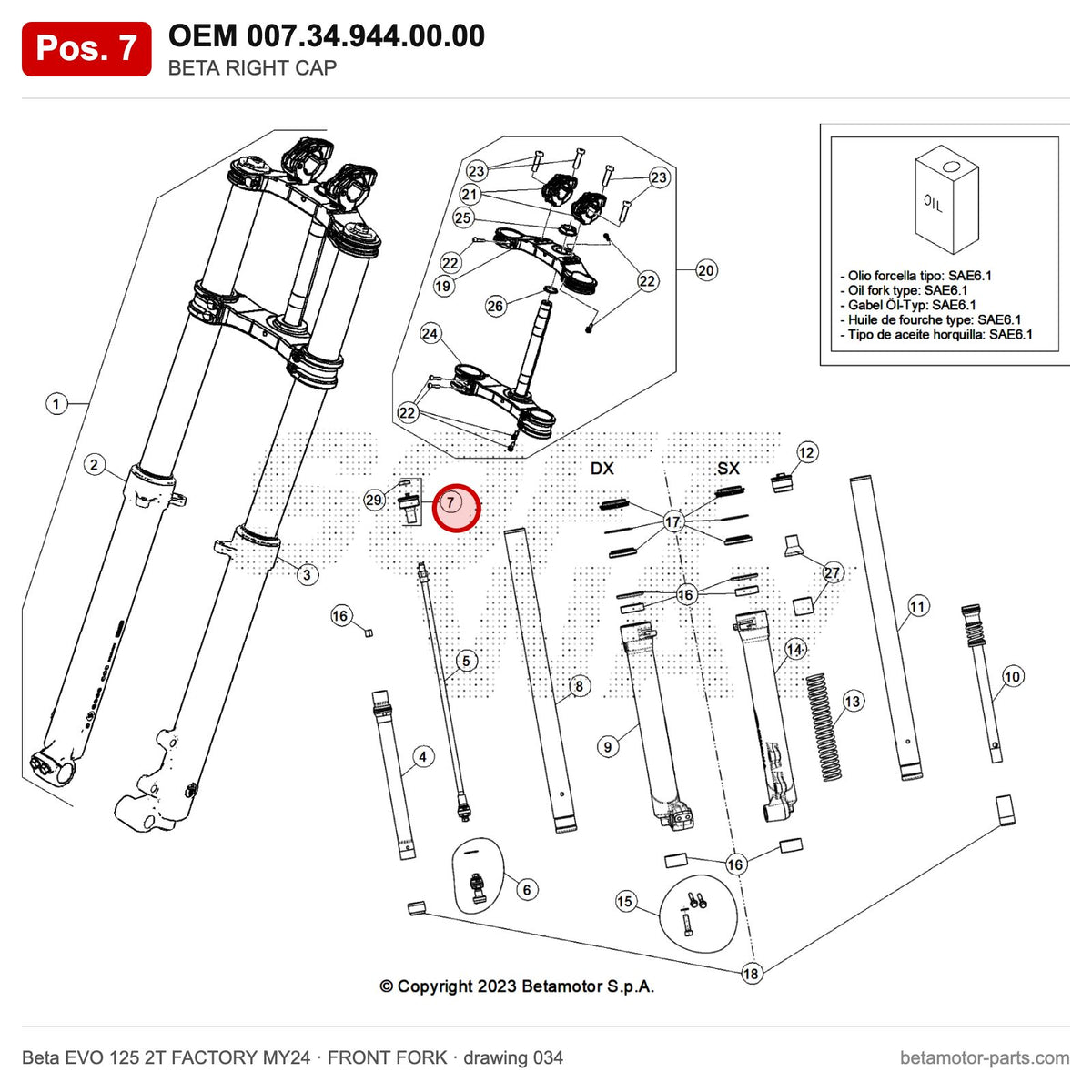 BETA RIGHT CAP – OEM 007.34.944.00.00, position 7 on the Beta EVO 125 2T FACTORY MY24 front fork drawing