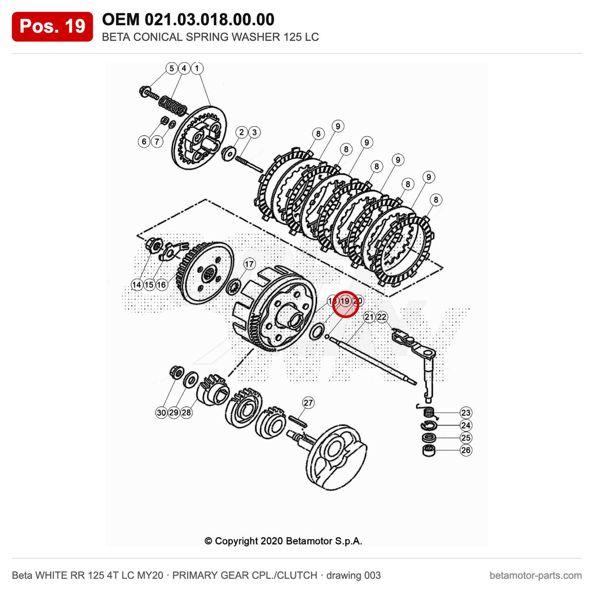 BETA CONICAL SPRING WASHER 125 LC – OEM 021.03.018.00.00, position 19 on the Beta WHITE RR 125 4T LC MY20 primary gear cpl./clutch drawing