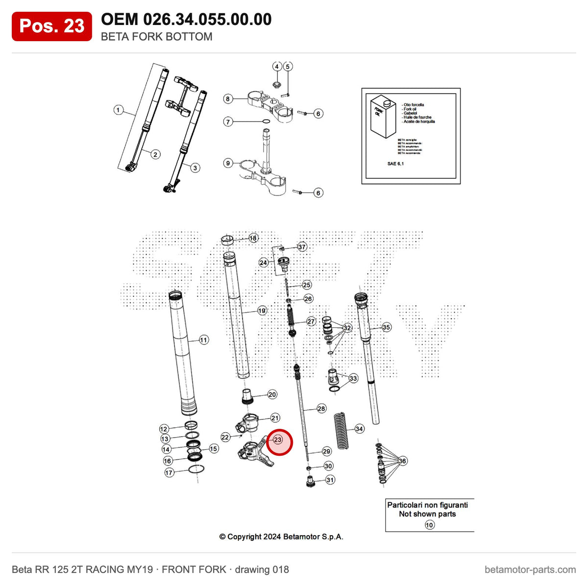 BETA FORK BOTTOM – OEM 026.34.055.00.00, position 23 on the Beta RR 125 2T RACING MY19 front fork drawing