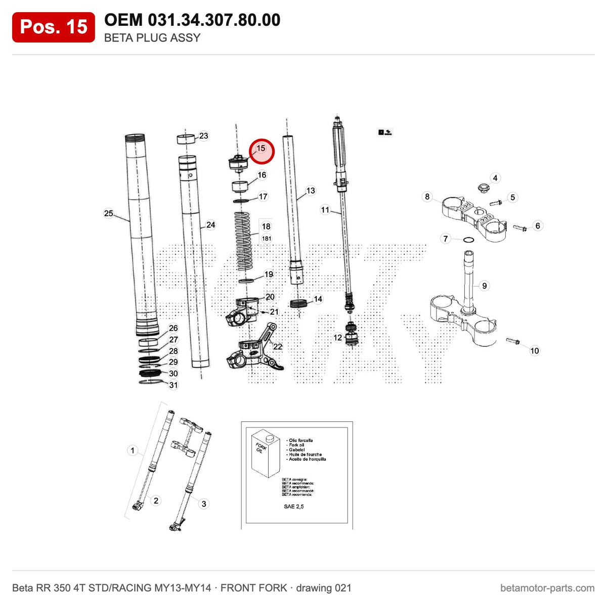 BETA PLUG ASSY – OEM 031.34.307.80.00, position 15 on the Beta RR 350 4T STD/RACING MY13-MY14 front fork drawing