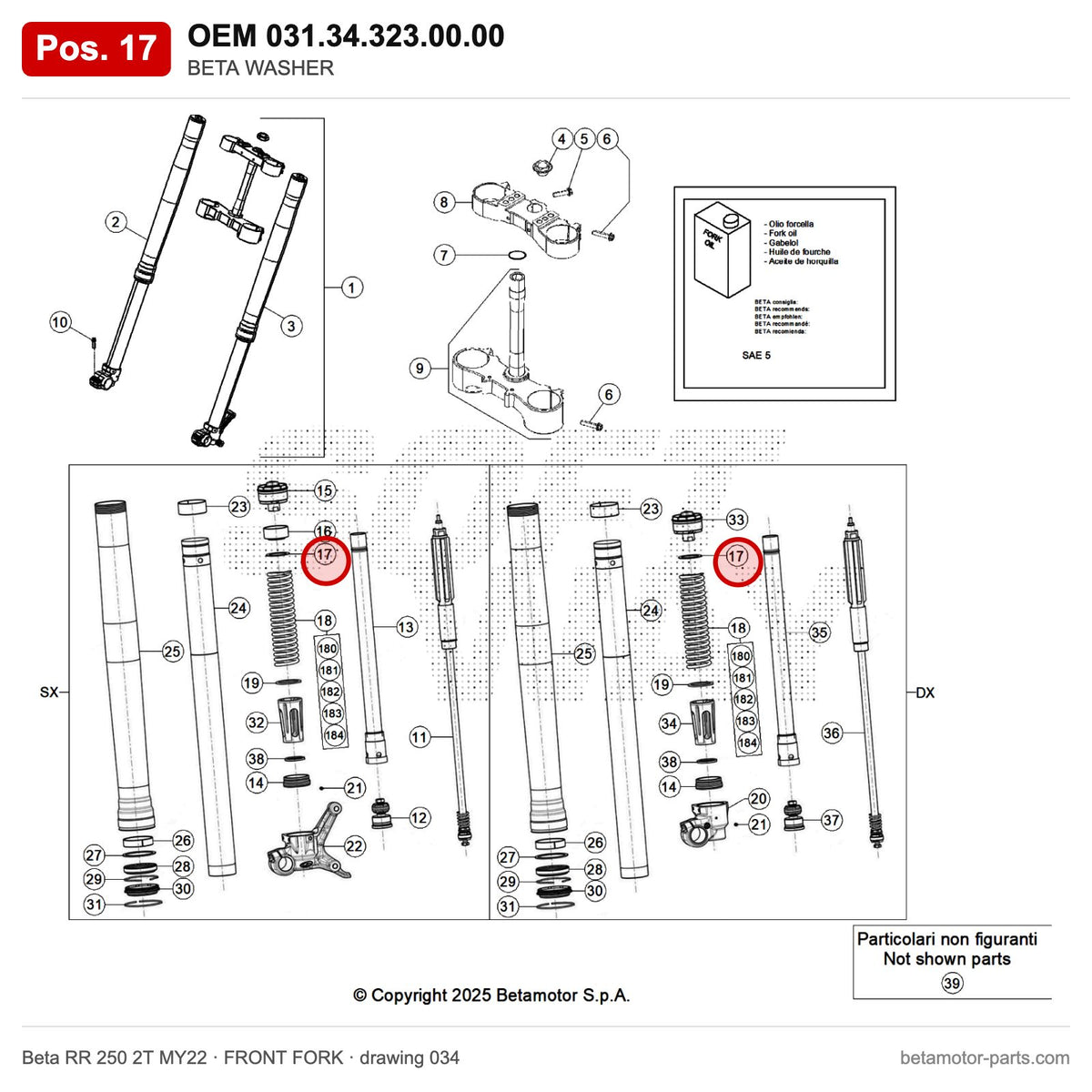 BETA WASHER – OEM 031.34.323.00.00, position 17 on the Beta RR 250 2T MY22 front fork drawing