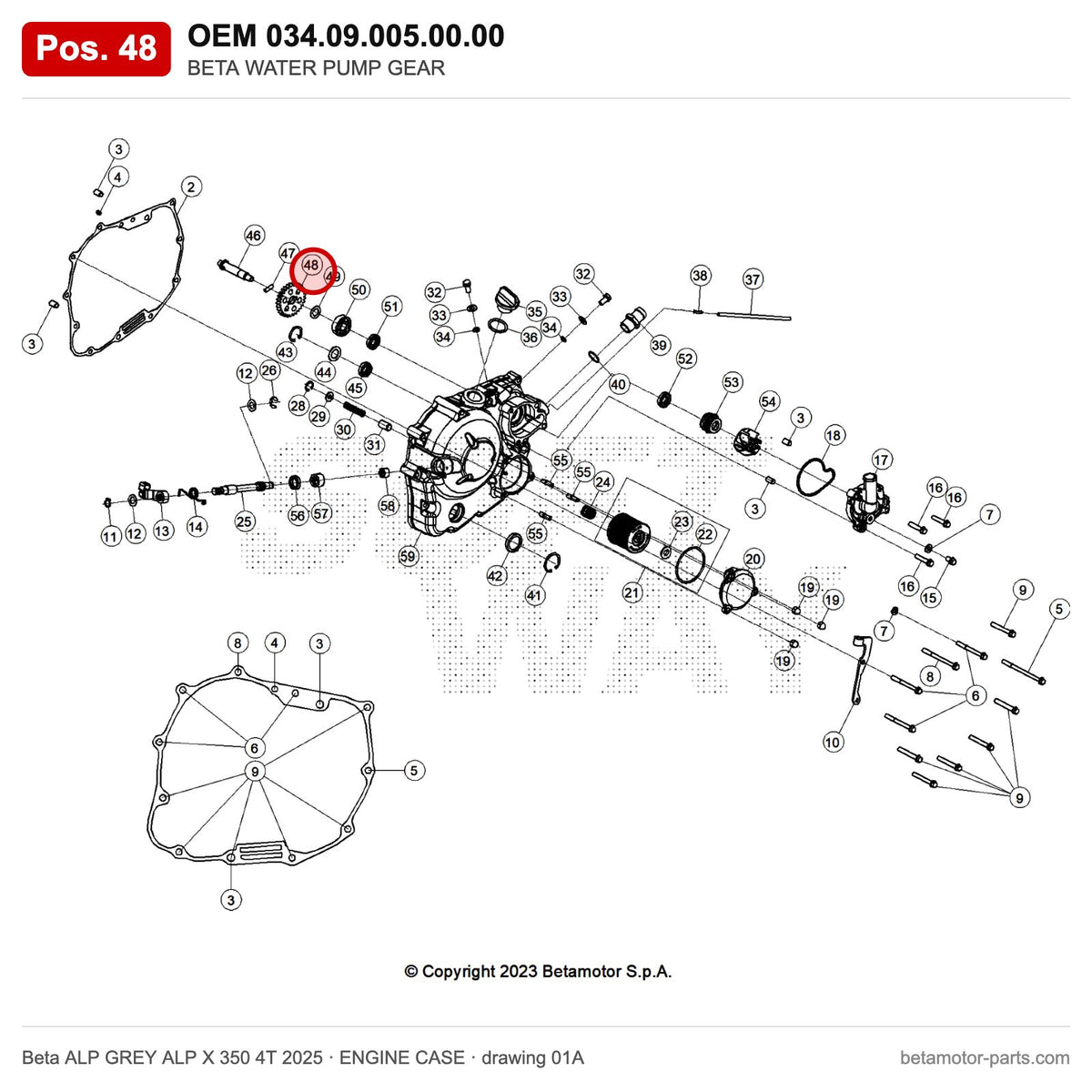 BETA WATER PUMP GEAR – OEM 034.09.005.00.00, position 48 on the Beta ALP GREY ALP X 350 4T 2025 engine case drawing