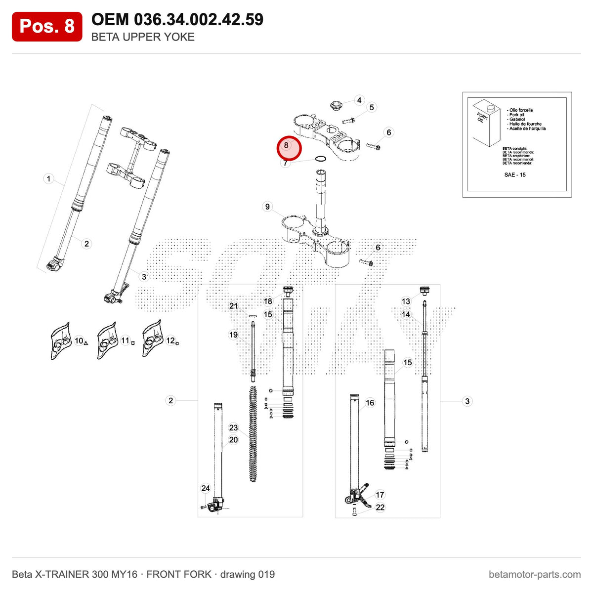 BETA UPPER YOKE – OEM 036.34.002.42.59, position 8 on the Beta X-TRAINER 300 MY16 front fork drawing