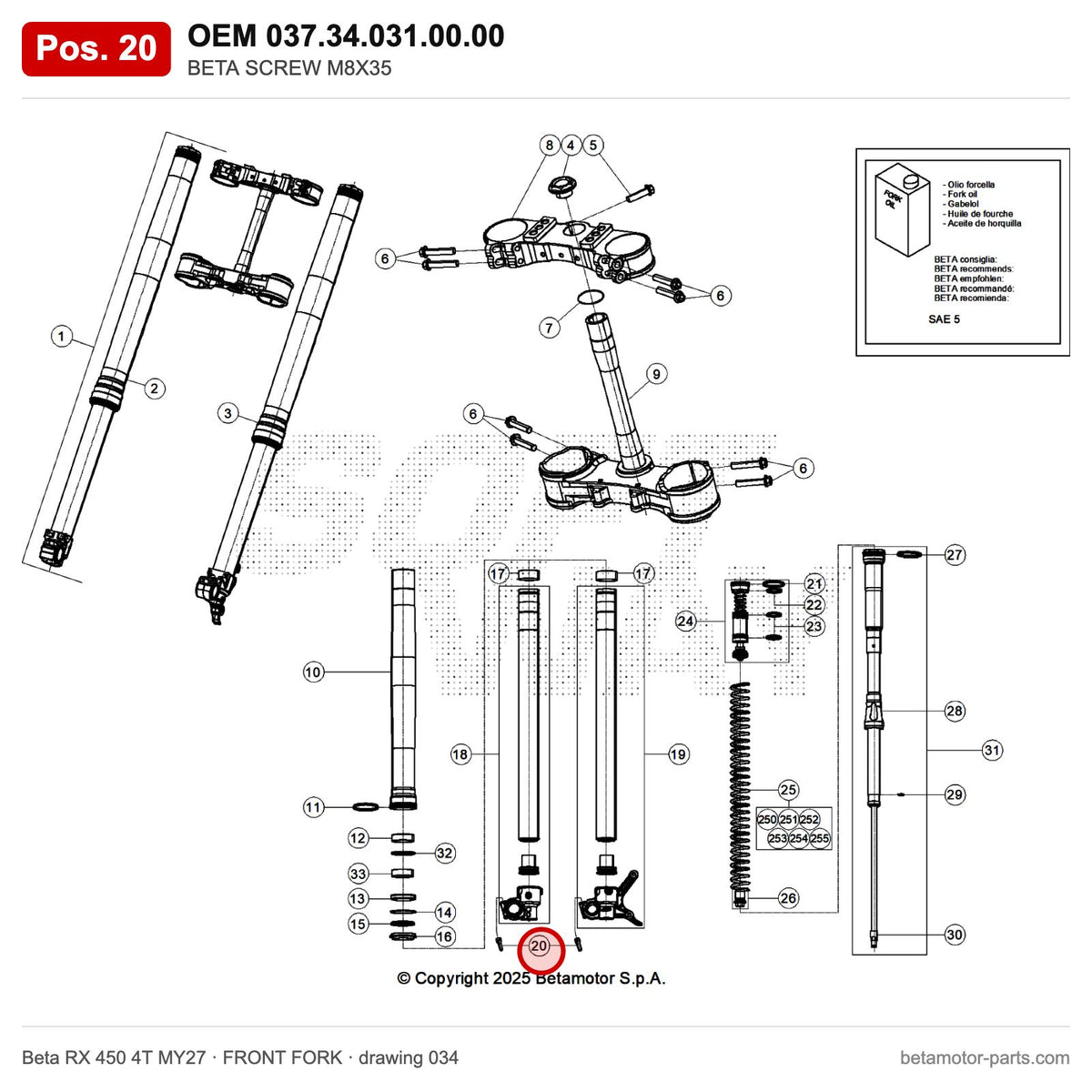 BETA SCREW M8X35 – OEM 037.34.031.00.00, position 20 on the Beta RX 450 4T MY27 front fork drawing