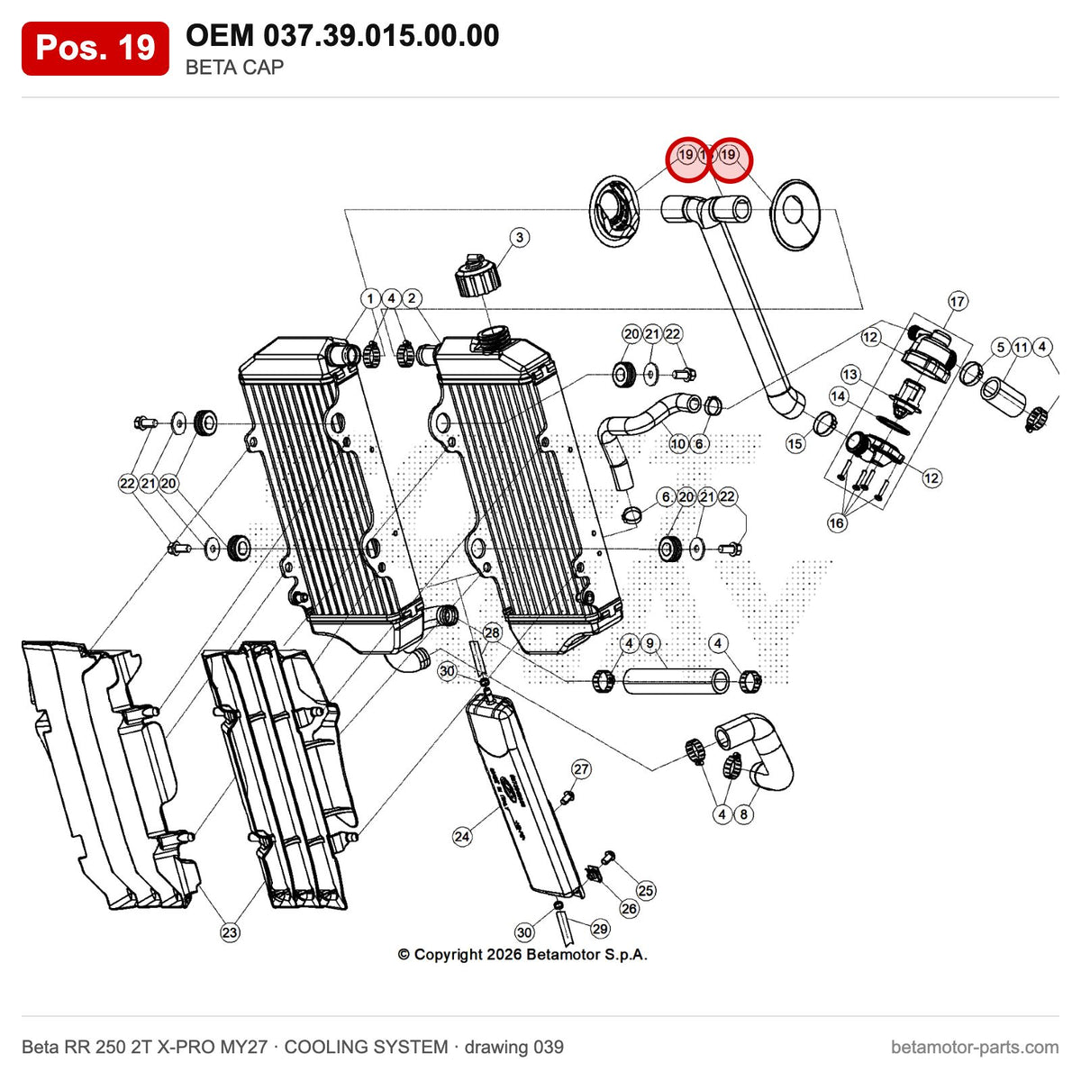 BETA CAP – OEM 037.39.015.00.00, position 19 on the Beta RR 250 2T X-PRO MY27 cooling system drawing