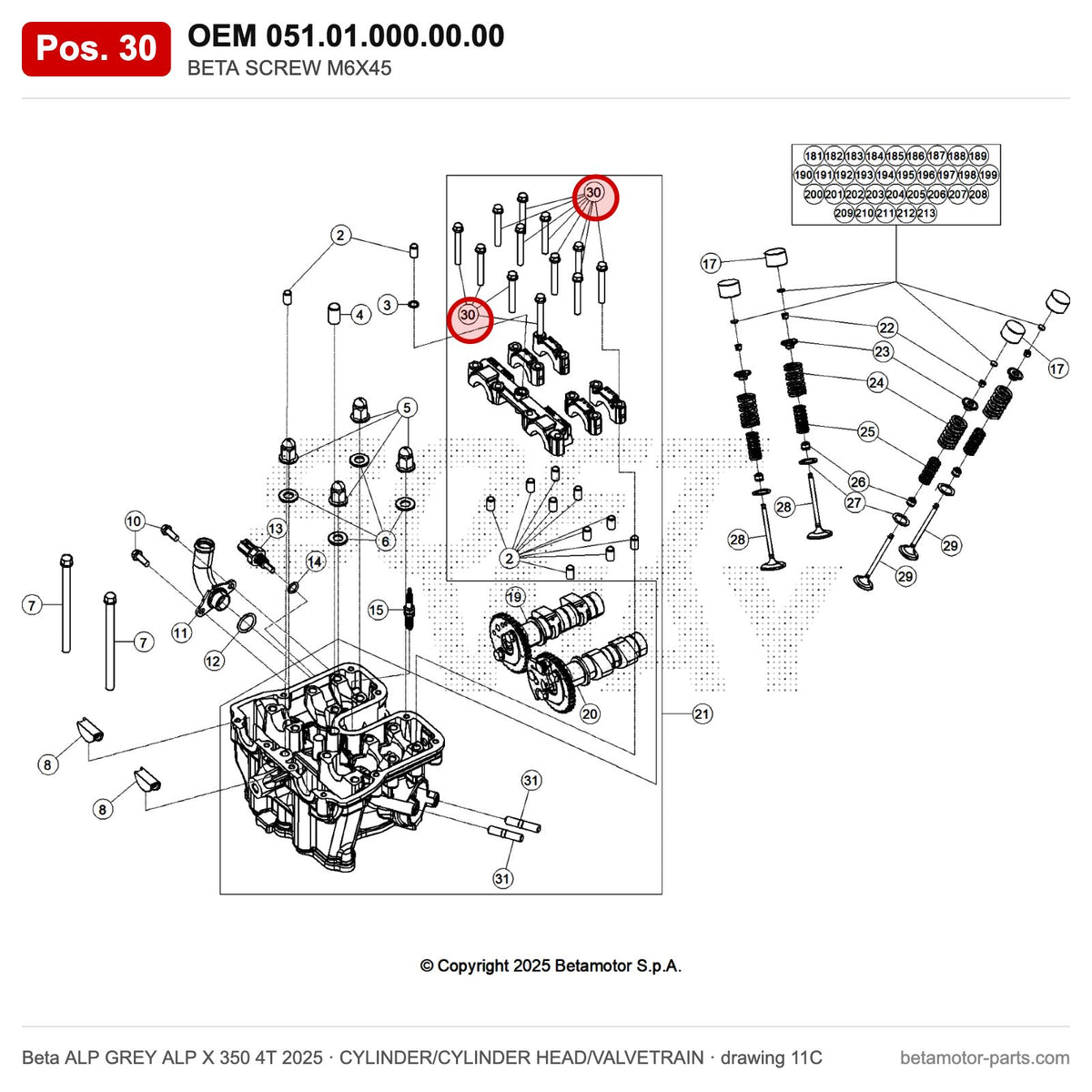 BETA SCREW M6X45 – OEM 051.01.000.00.00, position 30 on the Beta ALP GREY ALP X 350 4T 2025 cylinder/cylinder head/valvetrain drawing