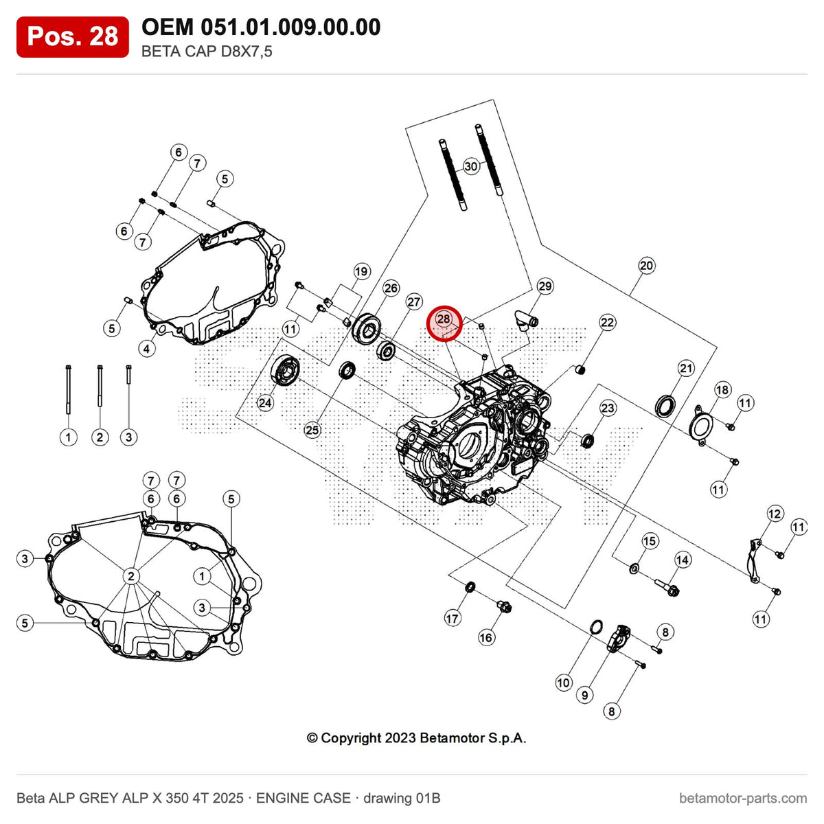 BETA CAP D8X7,5 – OEM 051.01.009.00.00, position 28 on the Beta ALP GREY ALP X 350 4T 2025 engine case drawing