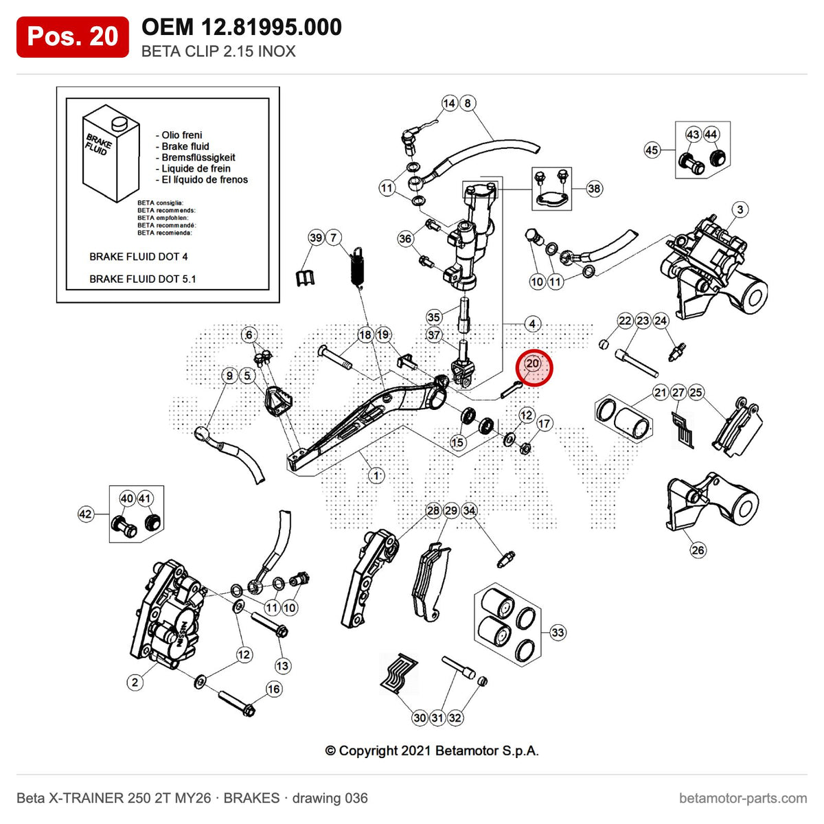 BETA CLIP 2.15 INOX – OEM 12.81995.000, position 20 on the Beta X-TRAINER 250 2T MY26 brakes drawing