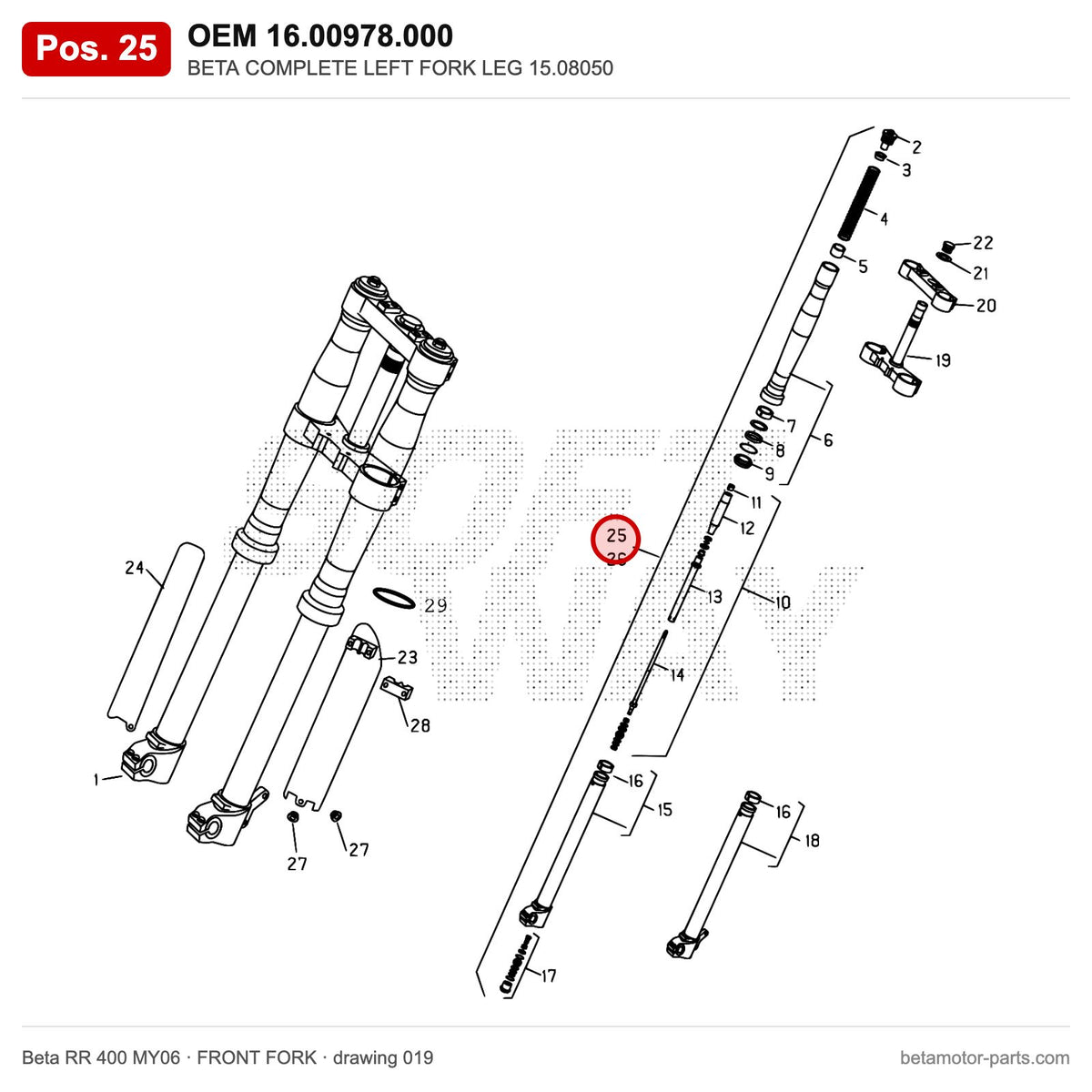 BETA COMPLETE LEFT FORK LEG 15.08050 – OEM 16.00978.000, position 25 on the Beta RR 400 MY06 front fork drawing