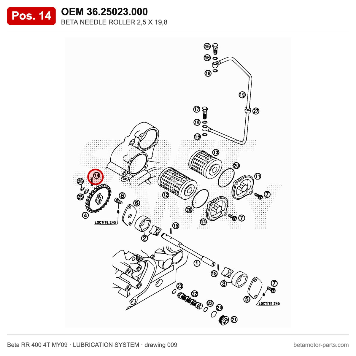 BETA NEEDLE ROLLER 2,5 X 19,8 – OEM 36.25023.000, position 14 on the Beta RR 400 4T MY09 lubrication system drawing