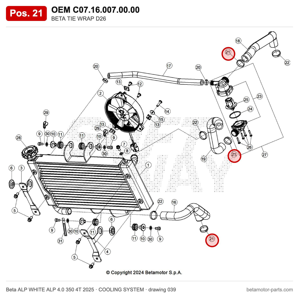 BETA TIE WRAP D26 – OEM C07.16.007.00.00, position 21 on the Beta ALP WHITE ALP 4.0 350 4T 2025 cooling system drawing