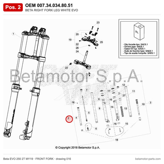 BETA RIGHT FORK LEG WHITE EVO – OEM 007.34.034.80.51, position 2 on the Beta EVO 250 2T MY19 front fork drawing