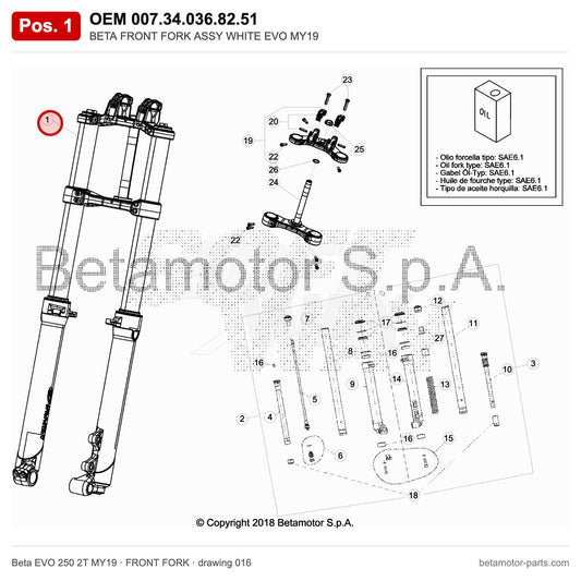 BETA FRONT FORK ASSY WHITE EVO MY19 – OEM 007.34.036.82.51, position 1 on the Beta EVO 250 2T MY19 front fork drawing