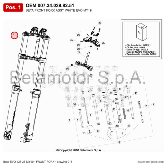 BETA FRONT FORK ASSY WHITE EVO MY19 – OEM 007.34.039.82.51, position 1 on the Beta EVO 125 2T MY19 front fork drawing