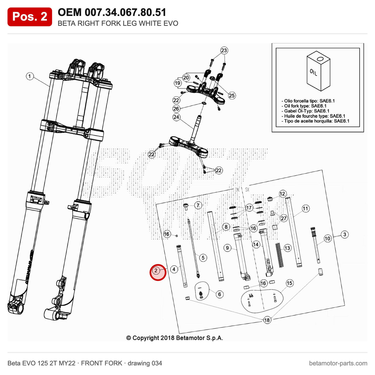 BETA RIGHT FORK LEG WHITE EVO – OEM 007.34.067.80.51, position 2 on the Beta EVO 125 2T MY22 front fork drawing