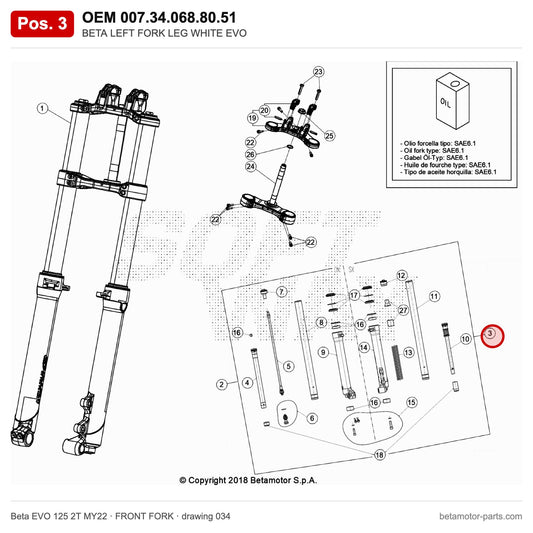 BETA LEFT FORK LEG WHITE EVO – OEM 007.34.068.80.51, position 3 on the Beta EVO 125 2T MY22 front fork drawing