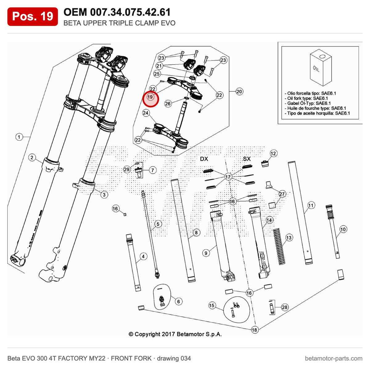 BETA UPPER TRIPLE CLAMP EVO – OEM 007.34.075.42.61, position 19 on the Beta EVO 300 4T FACTORY MY22 front fork drawing