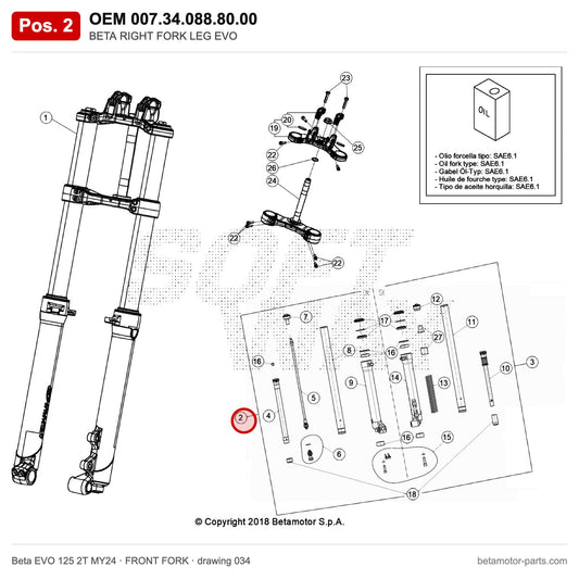 BETA RIGHT FORK LEG EVO – OEM 007.34.088.80.00, position 2 on the Beta EVO 125 2T MY24 front fork drawing