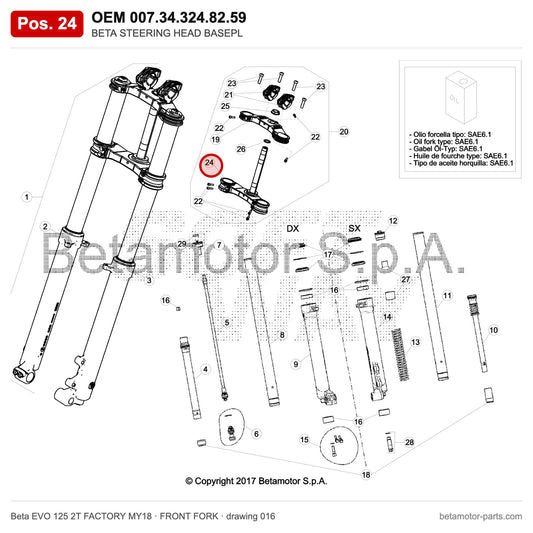 BETA STEERING HEAD BASEPL – OEM 007.34.324.82.59, position 24 on the Beta EVO 125 2T FACTORY MY18 front fork drawing
