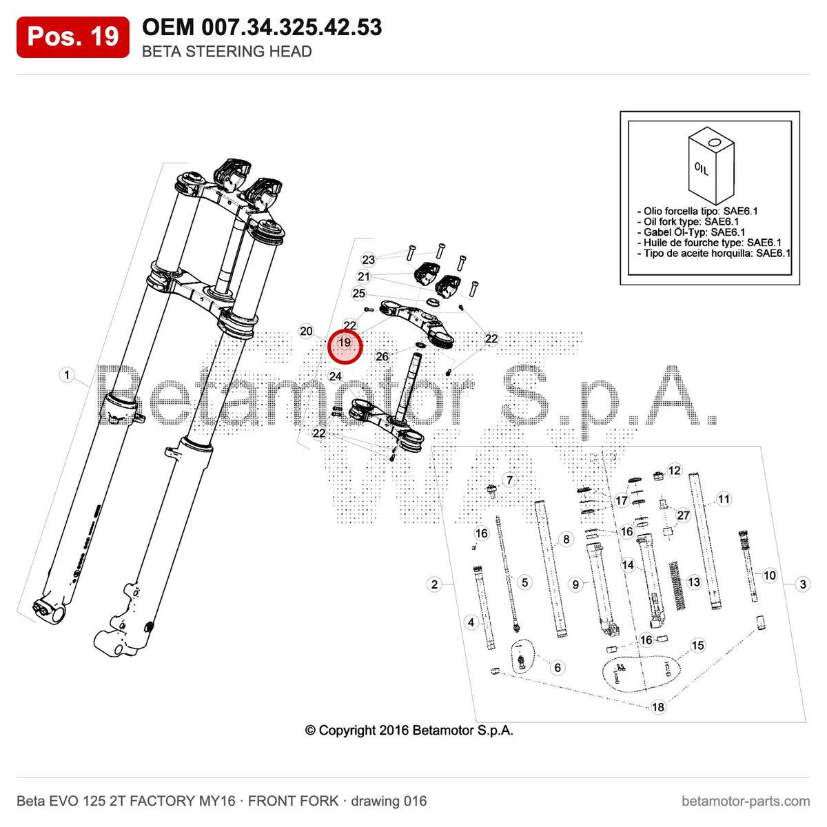 BETA STEERING HEAD – OEM 007.34.325.42.53, position 19 on the Beta EVO 125 2T FACTORY MY16 front fork drawing