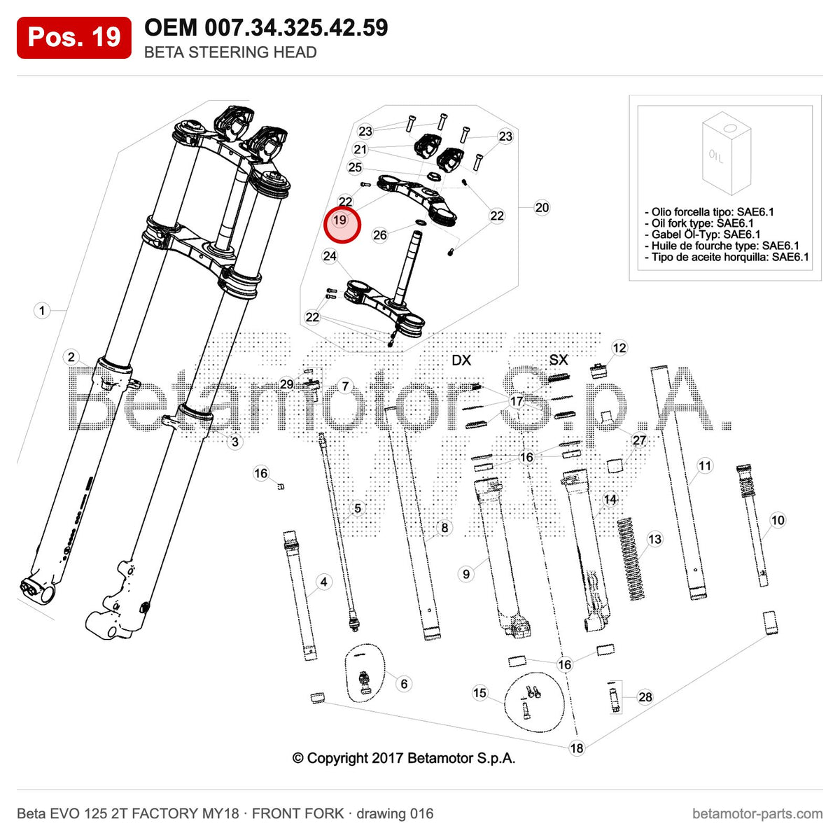 BETA STEERING HEAD – OEM 007.34.325.42.59, position 19 on the Beta EVO 125 2T FACTORY MY18 front fork drawing