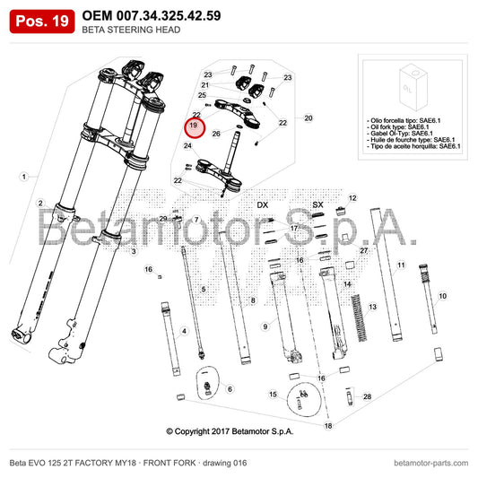 BETA STEERING HEAD – OEM 007.34.325.42.59, position 19 on the Beta EVO 125 2T FACTORY MY18 front fork drawing
