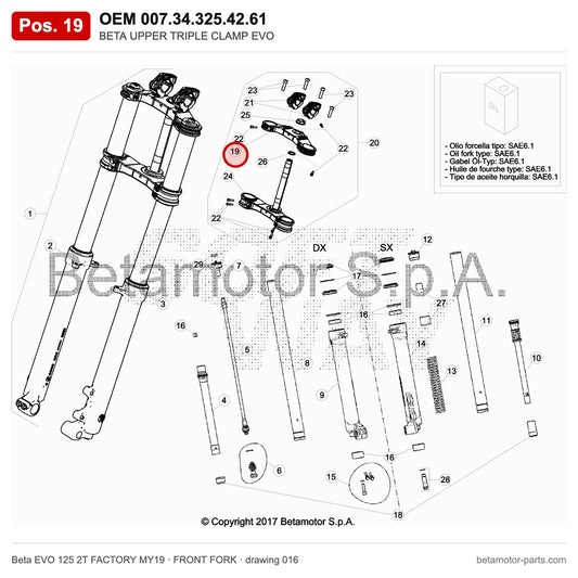 BETA UPPER TRIPLE CLAMP EVO – OEM 007.34.325.42.61, position 19 on the Beta EVO 125 2T FACTORY MY19 front fork drawing