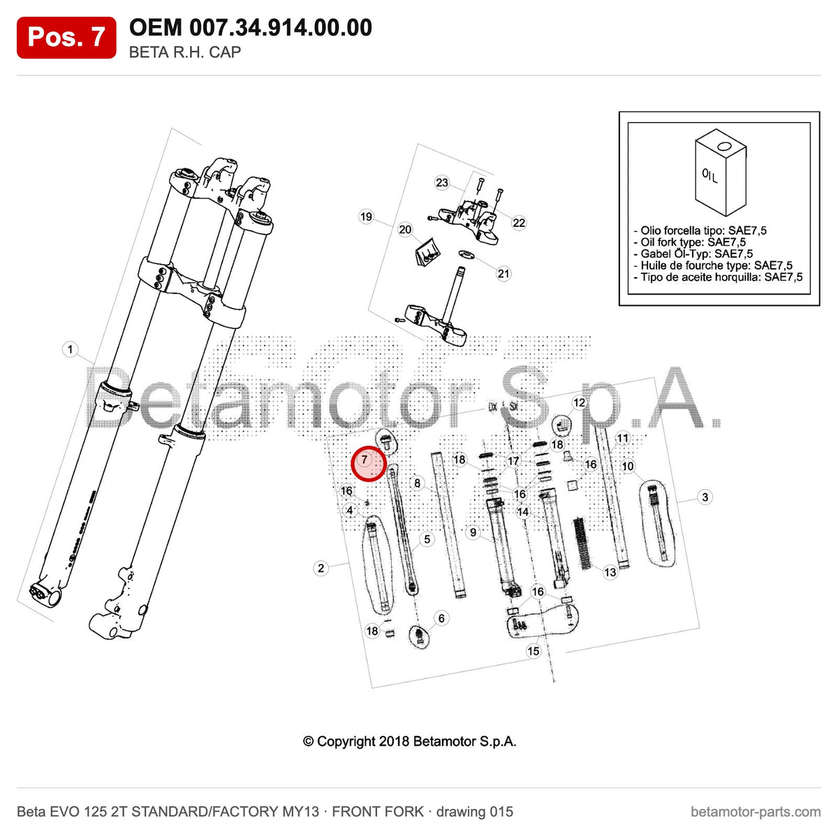 BETA R.H. CAP – OEM 007.34.914.00.00, position 7 on the Beta EVO 125 2T STANDARD/FACTORY MY13 front fork drawing