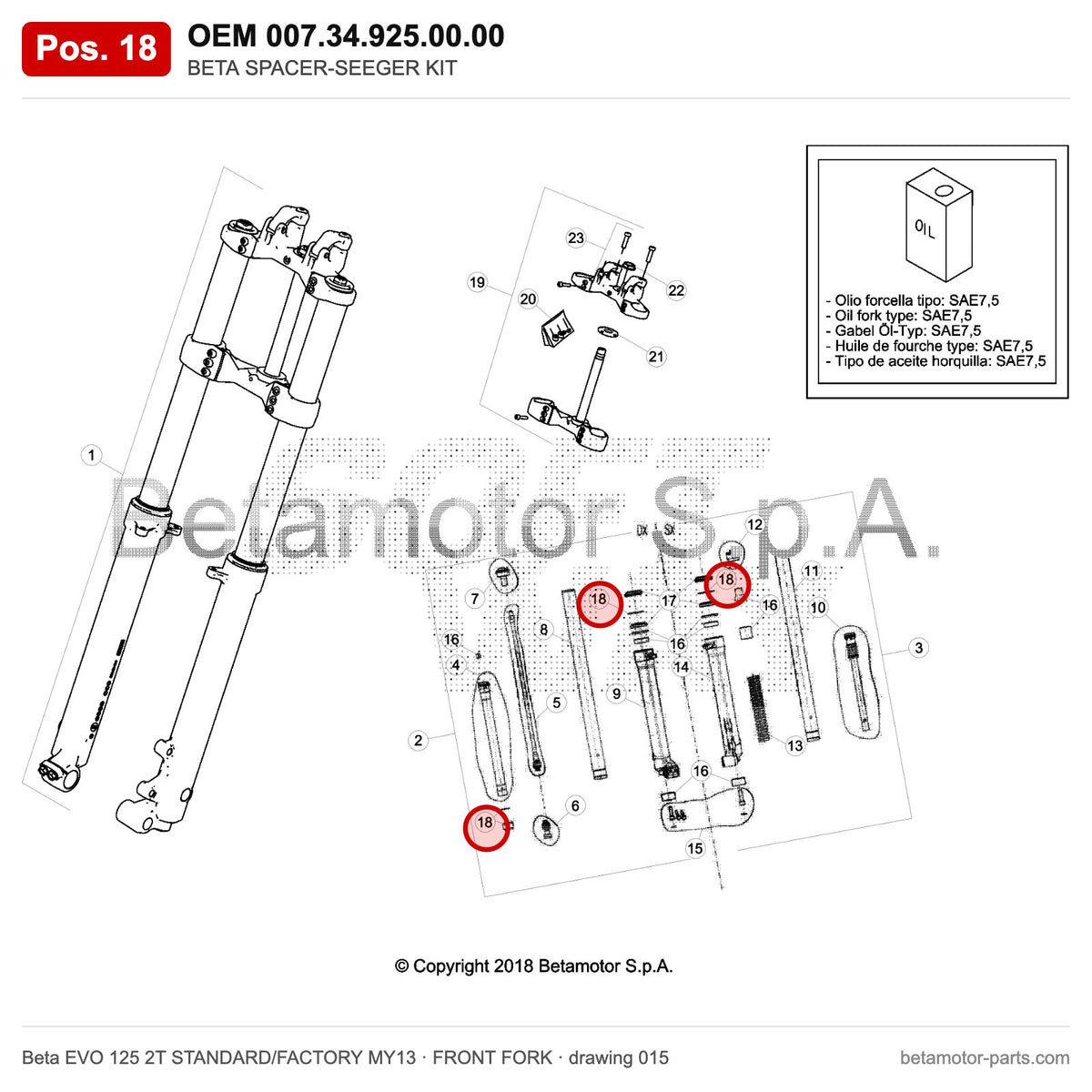 BETA SPACER-SEEGER KIT – OEM 007.34.925.00.00, position 18 on the Beta EVO 125 2T STANDARD/FACTORY MY13 front fork drawing