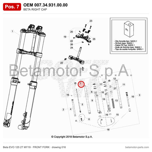 BETA RIGHT CAP – OEM 007.34.931.00.00, position 7 on the Beta EVO 125 2T MY19 front fork drawing