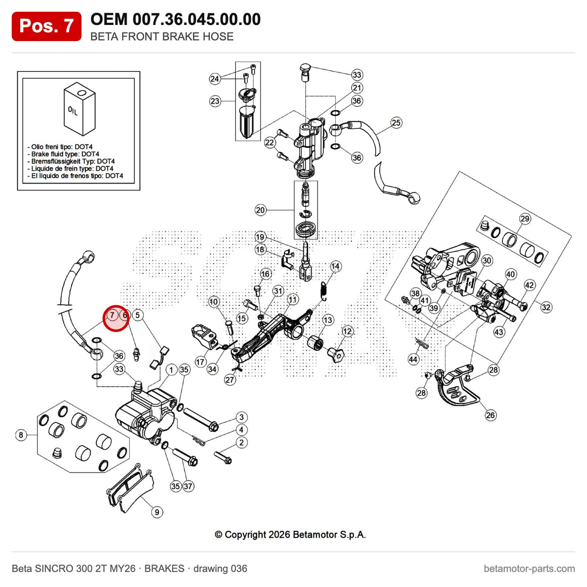 BETA FRONT BRAKE HOSE – OEM 007.36.045.00.00, position 7 on the Beta SINCRO 300 2T MY26 brakes drawing