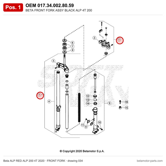 BETA FRONT FORK ASSY BLACK ALP 4T 200 – OEM 017.34.002.80.59, position 1 on the Beta ALP RED ALP 200 4T 2020 front fork drawing