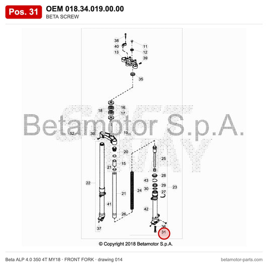 BETA SCREW – OEM 018.34.019.00.00, position 31 on the Beta ALP 4.0 350 4T MY18 front fork drawing
