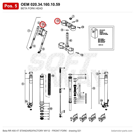 BETA FORK HEAD – OEM 020.34.160.10.59, position 5 on the Beta RR 400 4T STANDARD/FACTORY MY12 front fork drawing