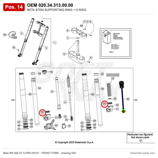 BETA STEM SUPPORTING RING + O RING – OEM 020.34.313.00.00, position 14 on the Beta RR 250 2T X-PRO MY27 front fork drawing