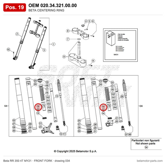 BETA CENTERING RING – OEM 020.34.321.00.00, position 19 on the Beta RR 350 4T MY21 front fork drawing