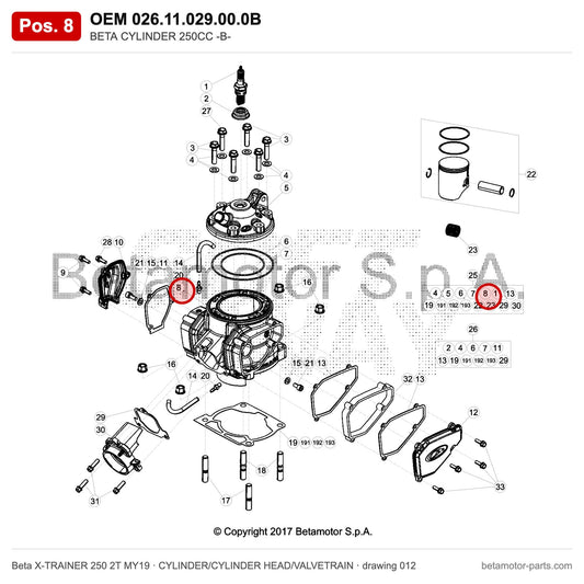 BETA CYLINDER 250CC -B- – OEM 026.11.029.00.0B, position 8 on the Beta X-TRAINER 250 2T MY19 cylinder/cylinder head/valvetrain drawing