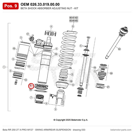 BETA SHOCK ABSORBER ADJUSTING NUT - KIT – OEM 026.33.019.00.00, position 9 on the Beta RR 250 2T X-PRO MY27 swing arm/rear suspension drawing