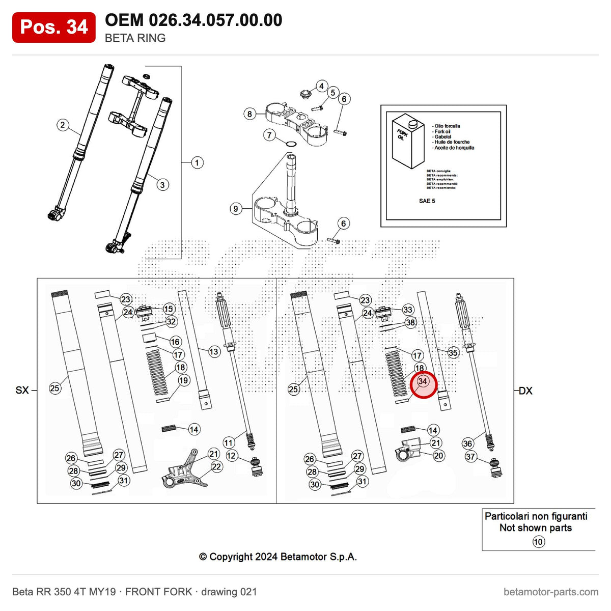 BETA RING – OEM 026.34.057.00.00, position 34 on the Beta RR 350 4T MY19 front fork drawing