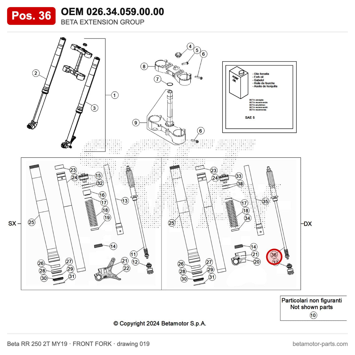BETA EXTENSION GROUP – OEM 026.34.059.00.00, position 36 on the Beta RR 250 2T MY19 front fork drawing