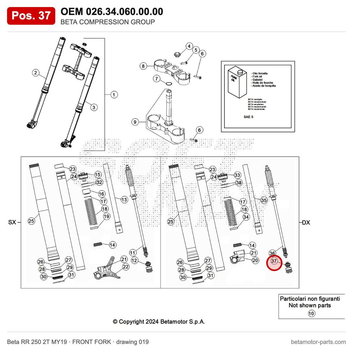 BETA COMPRESSION GROUP – OEM 026.34.060.00.00, position 37 on the Beta RR 250 2T MY19 front fork drawing
