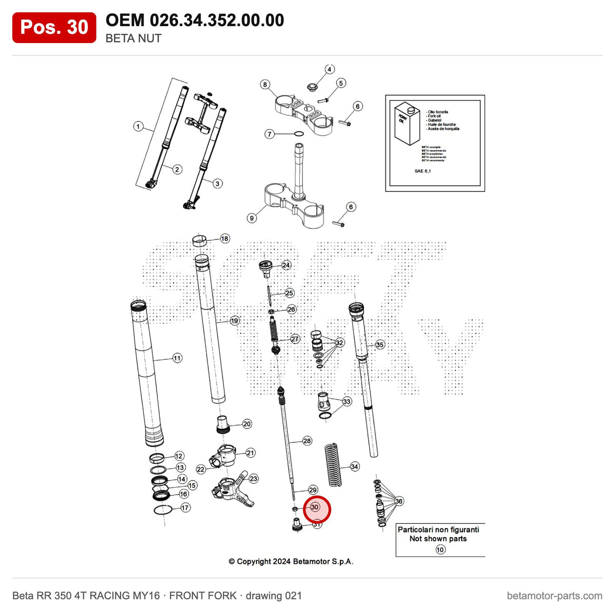 BETA NUT – OEM 026.34.352.00.00, position 30 on the Beta RR 350 4T RACING MY16 front fork drawing