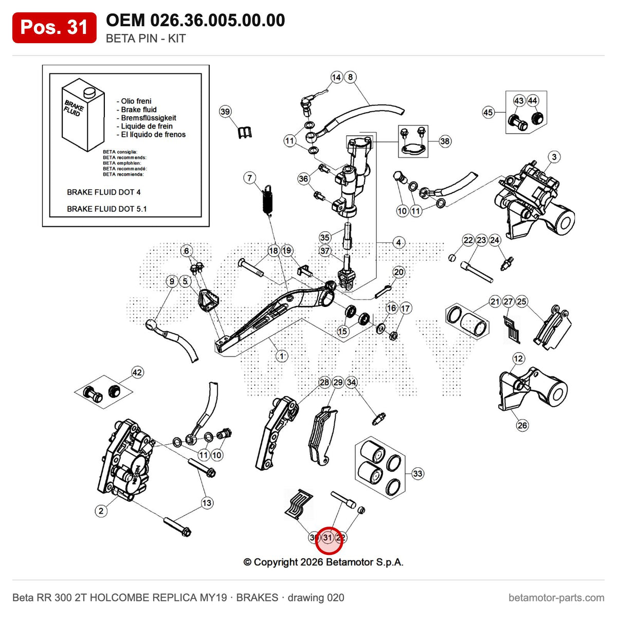 BETA PIN - KIT – OEM 026.36.005.00.00, position 31 on the Beta RR 300 2T HOLCOMBE REPLICA MY19 brakes drawing