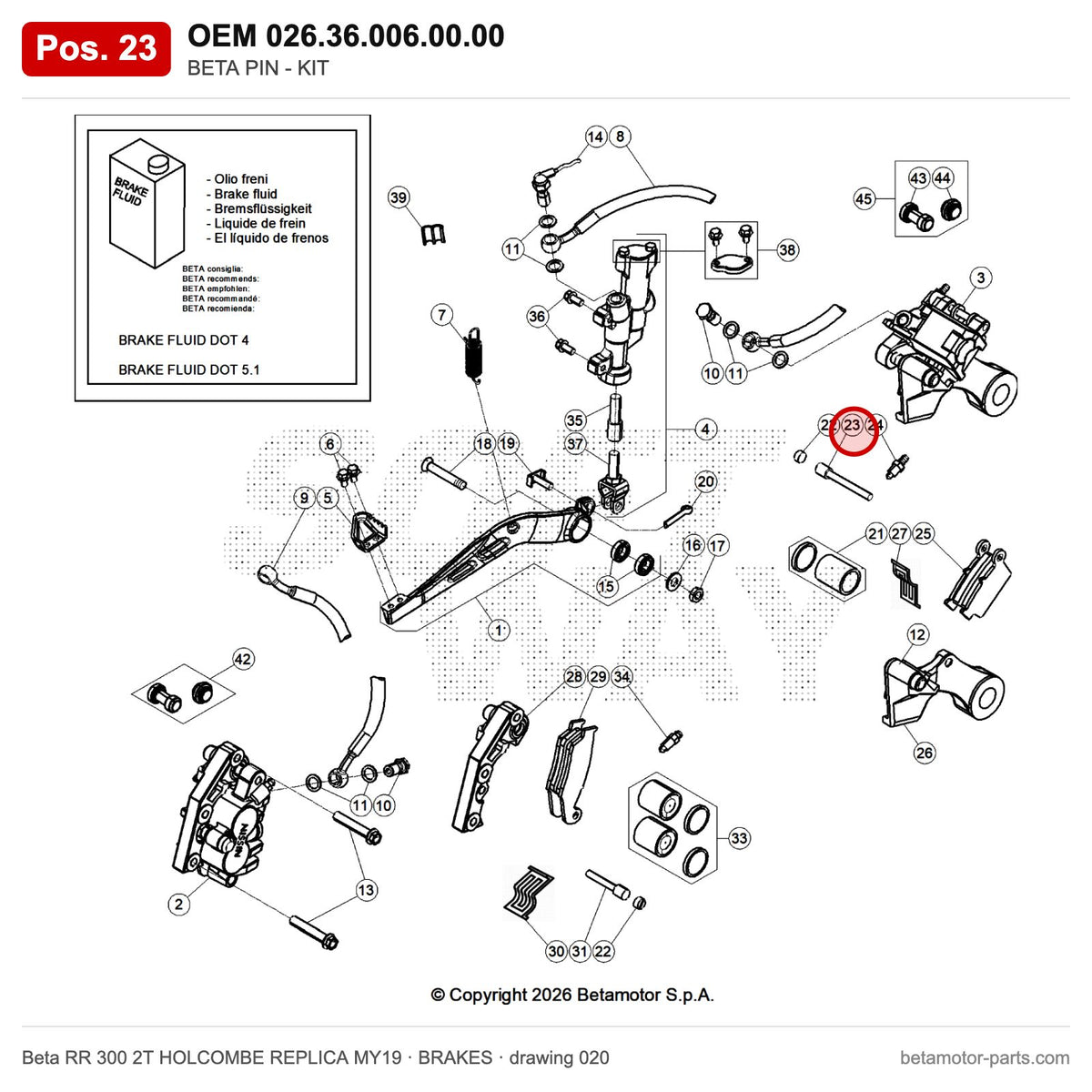 BETA PIN - KIT – OEM 026.36.006.00.00, position 23 on the Beta RR 300 2T HOLCOMBE REPLICA MY19 brakes drawing