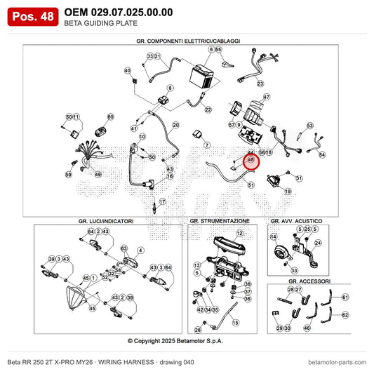 BETA GUIDING PLATE – OEM 029.07.025.00.00, position 48 on the Beta RR 250 2T X-PRO MY26 wiring harness drawing