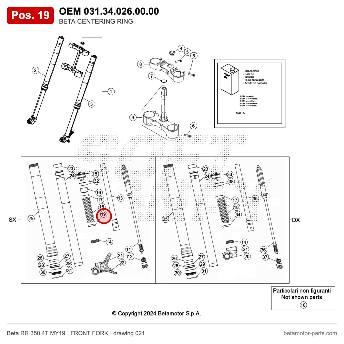 BETA CENTERING RING – OEM 031.34.026.00.00, position 19 on the Beta RR 350 4T MY19 front fork drawing