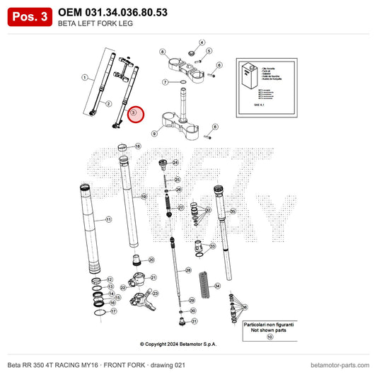 BETA LEFT FORK LEG – OEM 031.34.036.80.53, position 3 on the Beta RR 350 4T RACING MY16 front fork drawing